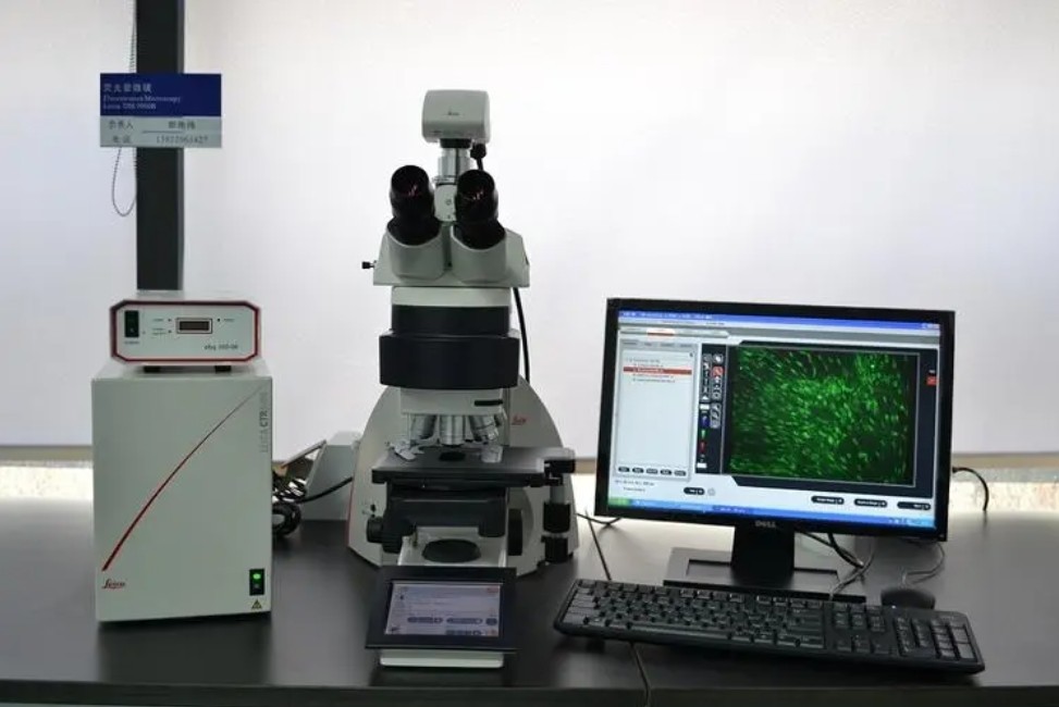 濾光片是如何決定顯微鏡成像性能的？